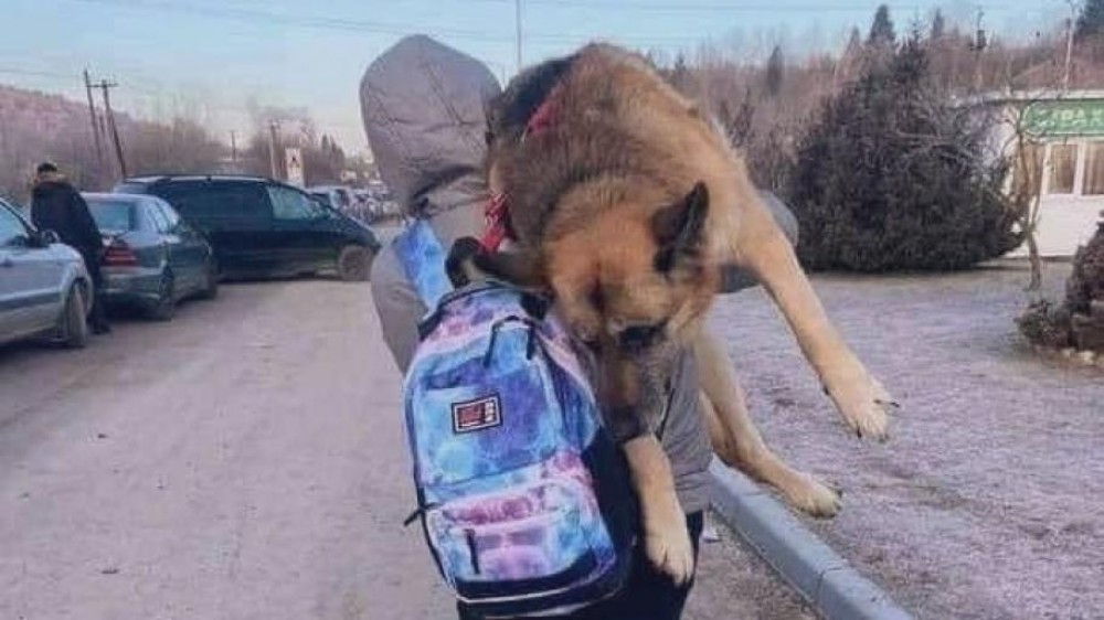 FOTO // „Nu l-am putut abandona”. O femeie din Ucraina şi-a cărat 17 kilometri câinele pe umăr, până la graniţă